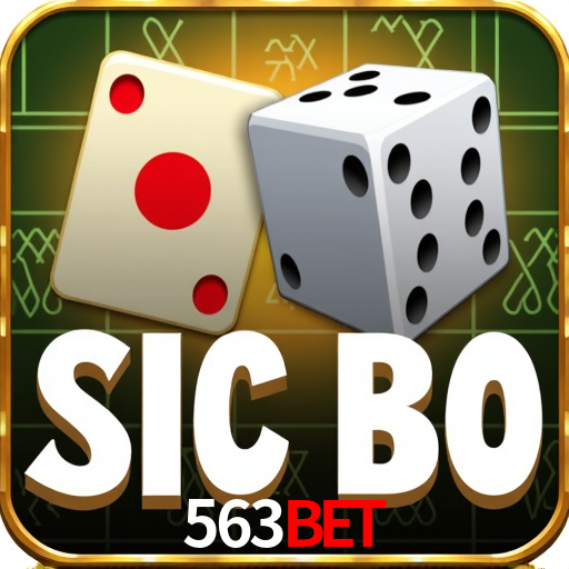 Security Systems 563bet